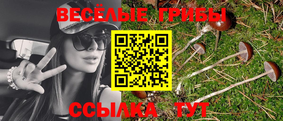 Галлюциногенные грибы Cubensis  Вход с VPN  Якутск 
