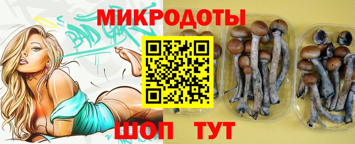 Галлюциногенные грибы MAGIC MUSHROOMS Якутск